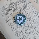Pins - Esperanta Stelo - Lingvo Internacia (langue internationale