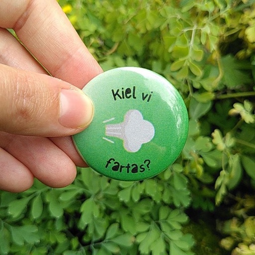 Pins - Kiel vi fartas? (Comment tu vas?)