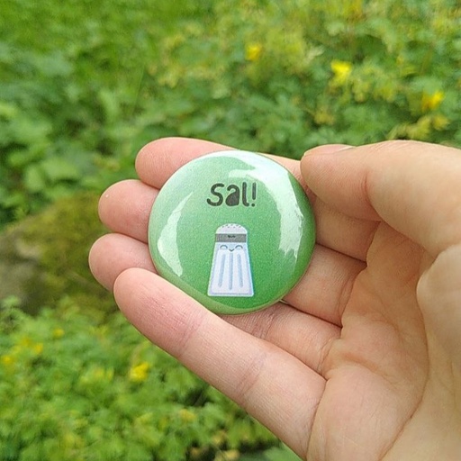 Pinglo - Sal!