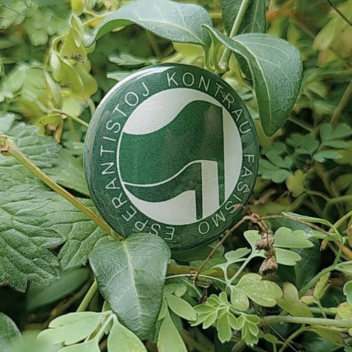 Pins - Esperantistoj kontraŭ faŝismo (Espérantistes contre le fascime)