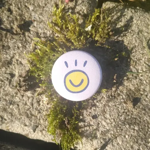Pinglo toki pona